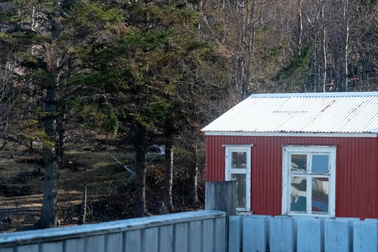 The Guesthouse By The Fjord Thingeyri المظهر الخارجي الصورة