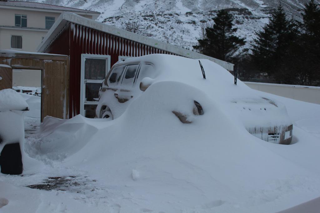 The Guesthouse By The Fjord Thingeyri المظهر الخارجي الصورة