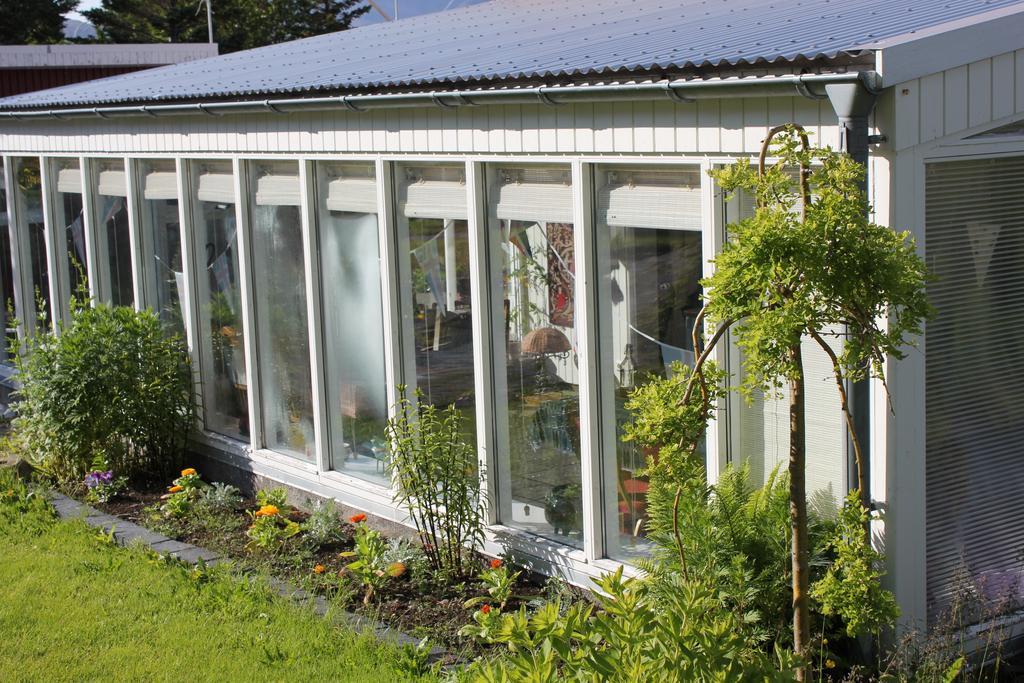 The Guesthouse By The Fjord Thingeyri المظهر الخارجي الصورة
